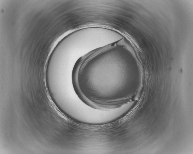 X0000085810854200704091605