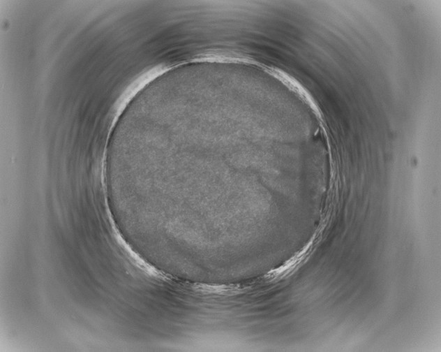 X0000085810855200704091605