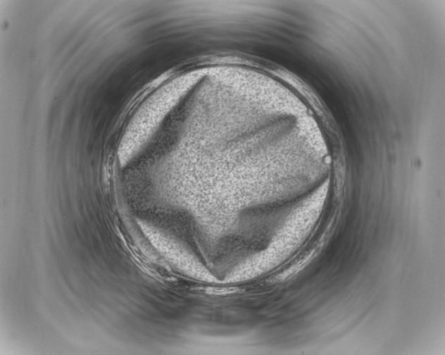 X0000085810857200704091605