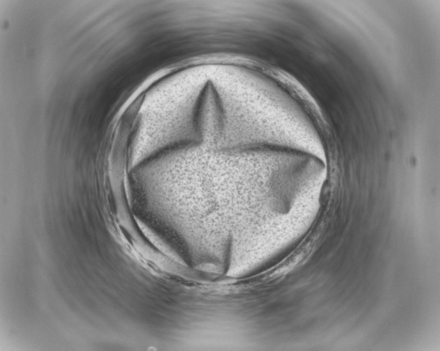 X0000085810860200704091605