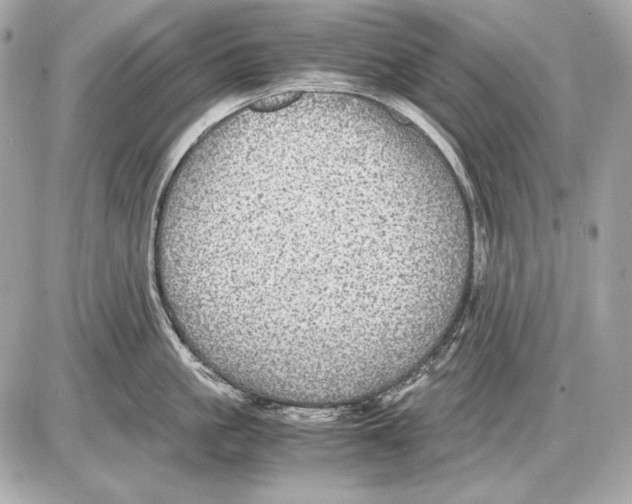 X0000085810861200704091605