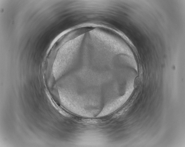 X0000085810862200704091605