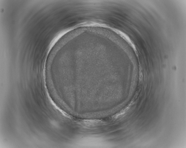 X0000085810863200704091605