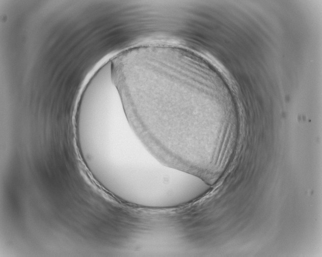 X0000085810864200704091605