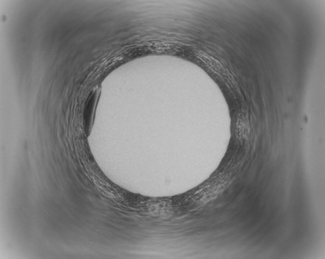 X0000085810865200704091604