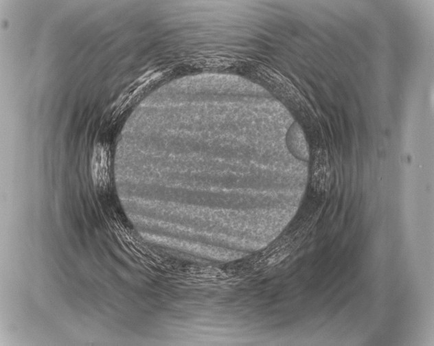 X0000085810866200704091604