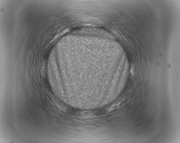 X0000085810867200704091604