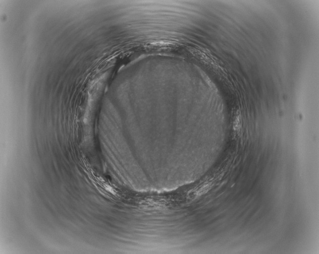 X0000085810868200704091604