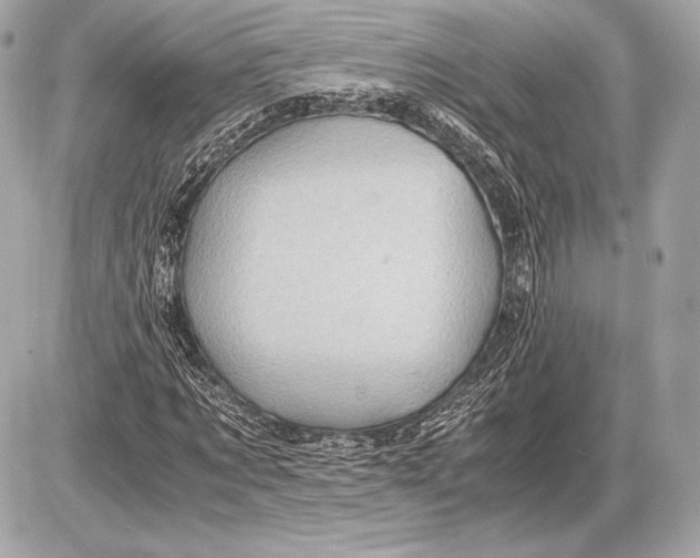 X0000085810869200704091604