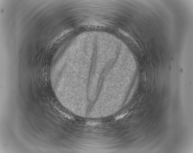 X0000085810870200704091604