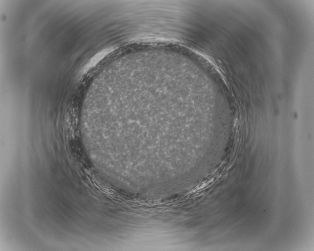 X0000085810871200704091604