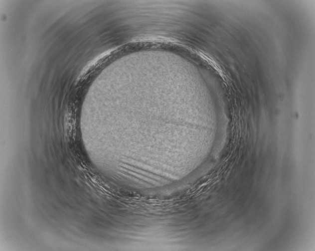 X0000085810872200704091604