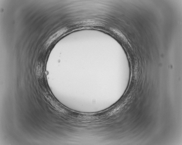 X0000085810873200704091604