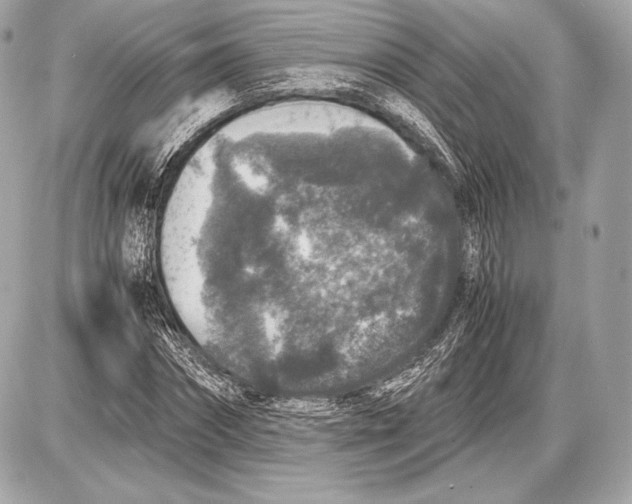 X0000085810874200704091604