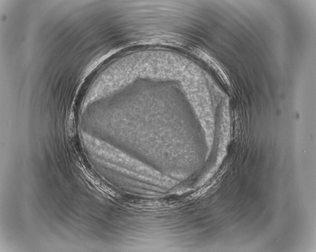 X0000085810876200704091604