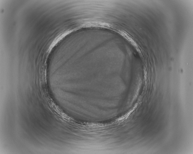 X0000085810877200704091604