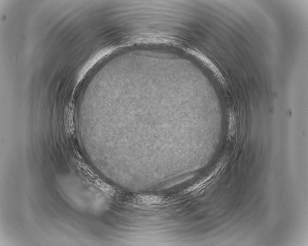 X0000085810878200704091604