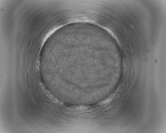 X0000085810879200704091604