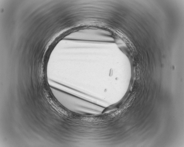 X0000085810880200704091604