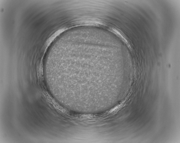 X0000085810883200704091604