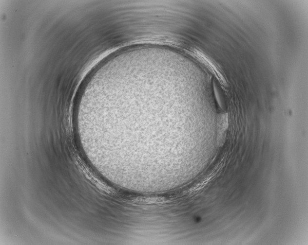 X0000085810884200704091604