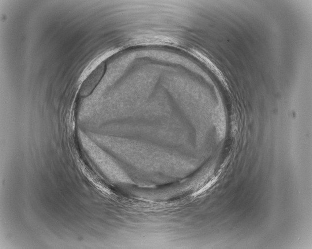 X0000085810885200704091604