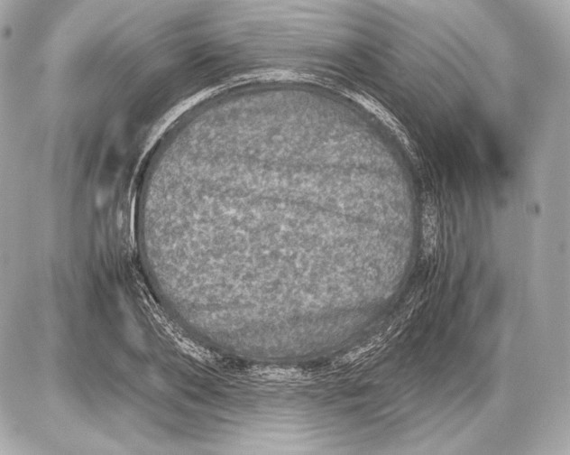 X0000085810886200704091604