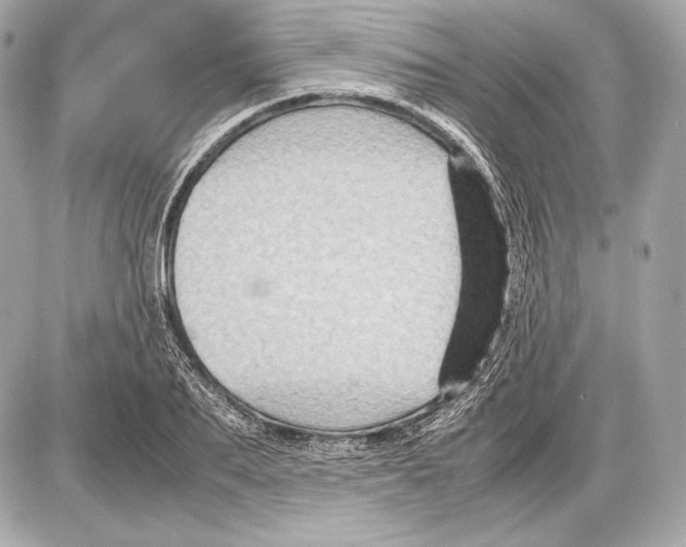 X0000085810887200704091604