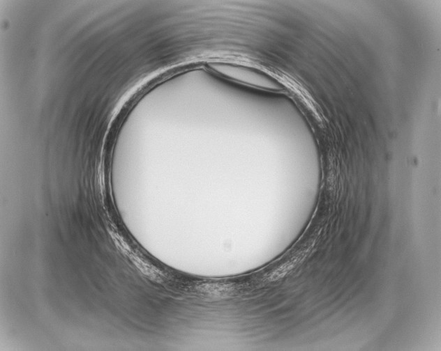 X0000085810888200704091604