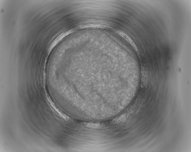 X0000085810890200704091604