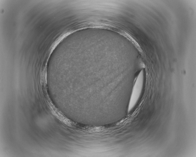 X0000085810891200704091604