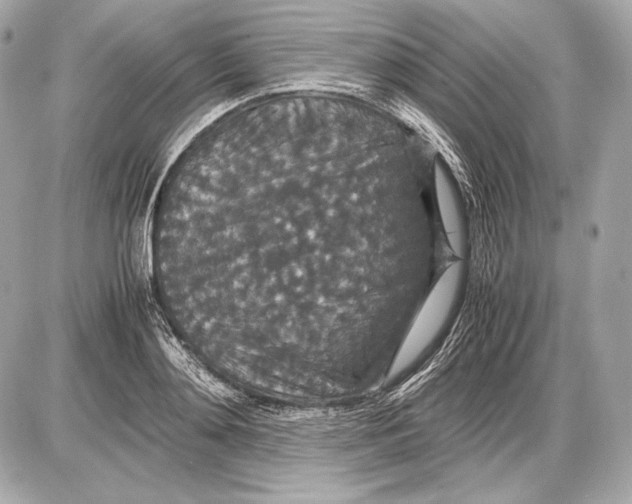 X0000085810892200704091604