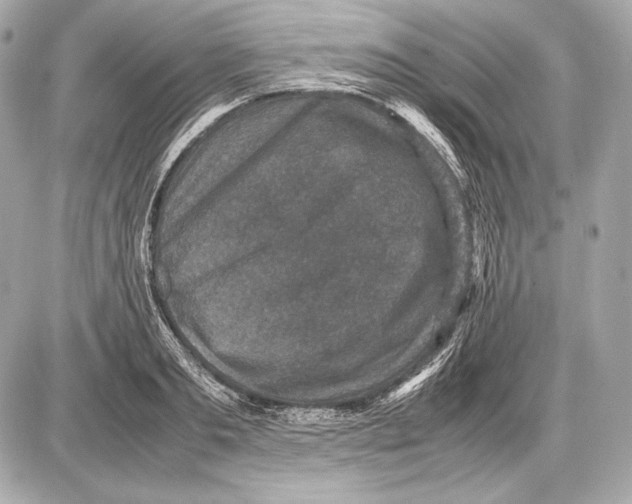 X0000085810893200704091604