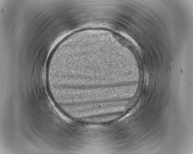 X0000085810894200704091604