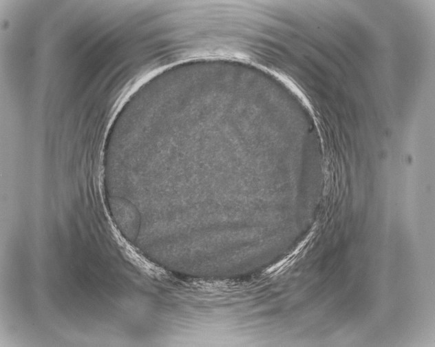 X0000085810895200704091604