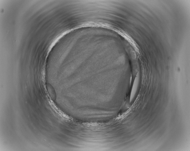 X0000085810896200704091604