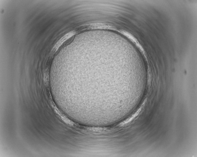 X0000085810897200704091604