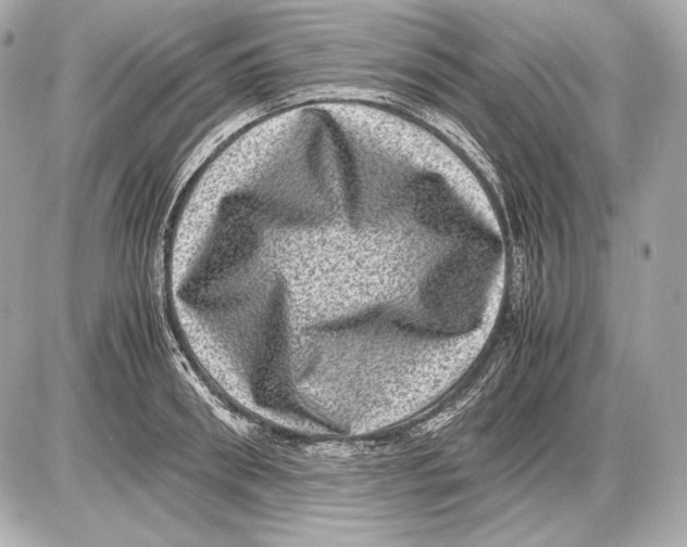 X0000085810898200704091603