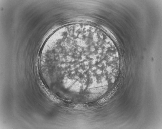 X0000085810899200704091603