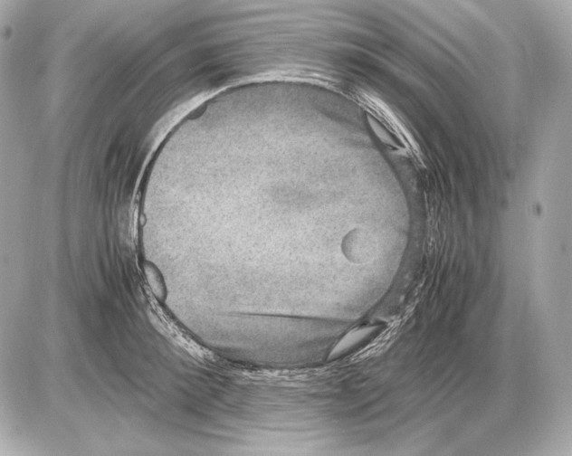 X0000085810900200704091603