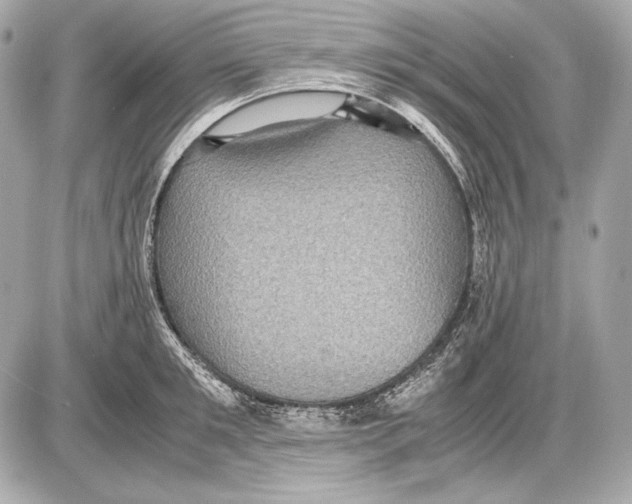 X0000085810901200704091603