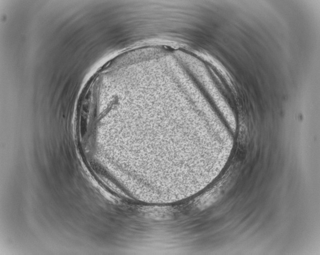 X0000085810902200704091603