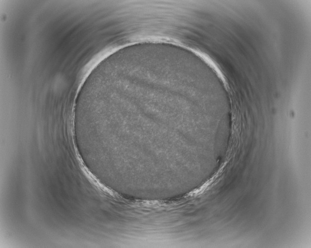 X0000085810903200704091603