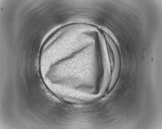 X0000085810904200704091603