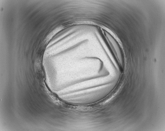 X0000085810905200704091603