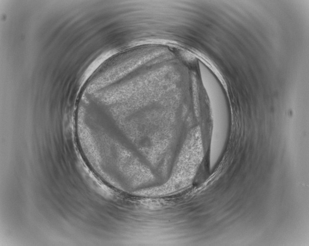 X0000085810906200704091603