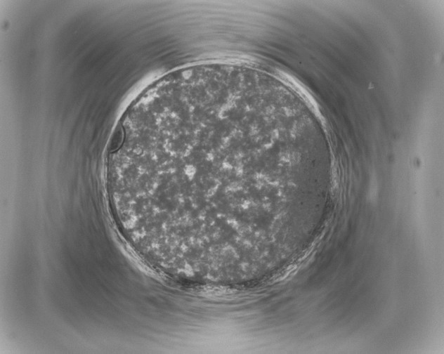 X0000085810907200704091603