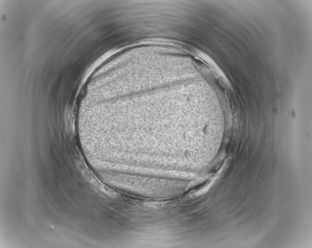 X0000085810908200704091603