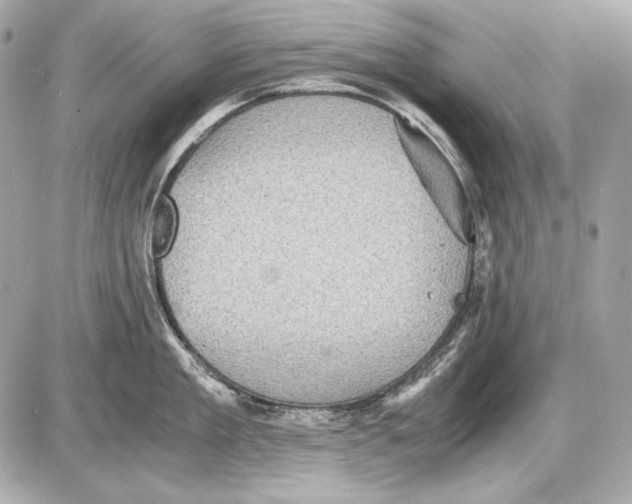 X0000085810909200704091603