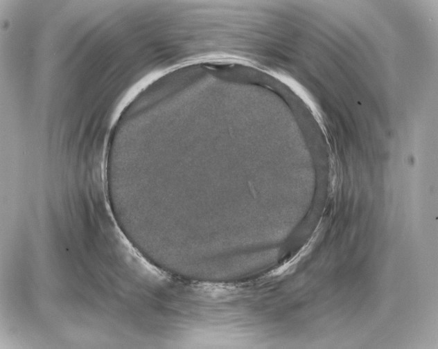 X0000085810910200704091603